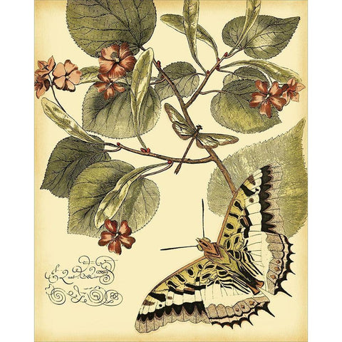 Mini Whimsical Butterflies I Gold Ornate Wood Framed Art Print with Double Matting by Vision Studio