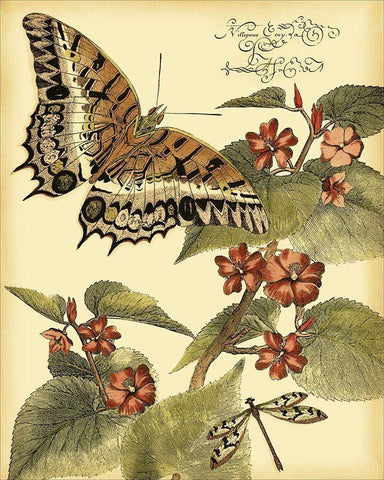 Mini Whimsical Butterflies II Black Ornate Wood Framed Art Print with Double Matting by Vision Studio