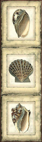 Mini Rustic Shell Panel I White Modern Wood Framed Art Print with Double Matting by Vision Studio