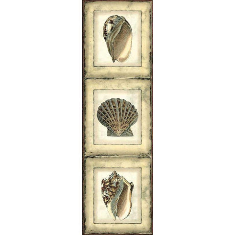 Mini Rustic Shell Panel I Black Modern Wood Framed Art Print by Vision Studio