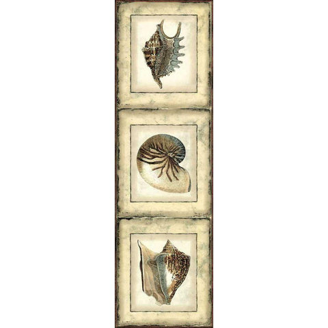 Mini Rustic Shell Panel II White Modern Wood Framed Art Print by Vision Studio