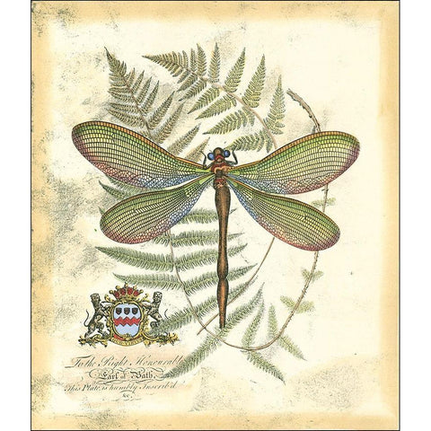 Mini Regal Dragonfly II Gold Ornate Wood Framed Art Print with Double Matting by Vision Studio