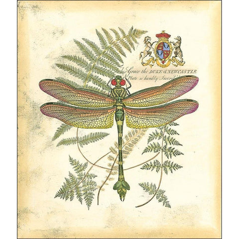 Mini Regal Dragonfly III Black Modern Wood Framed Art Print by Vision Studio