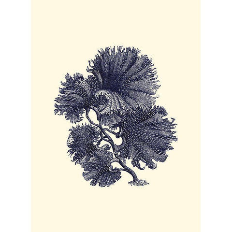 Indigo Kelp I White Modern Wood Framed Art Print by Vision Studio