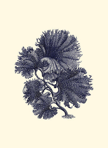 Indigo Kelp I Black Ornate Wood Framed Art Print with Double Matting by Vision Studio