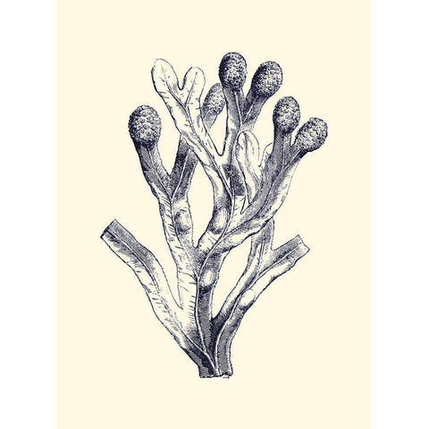 Indigo Kelp II White Modern Wood Framed Art Print by Vision Studio