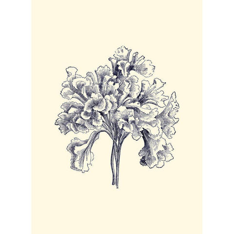 Indigo Kelp III Black Modern Wood Framed Art Print with Double Matting by Vision Studio