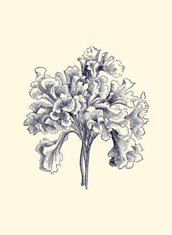 Indigo Kelp III Black Ornate Wood Framed Art Print with Double Matting by Vision Studio