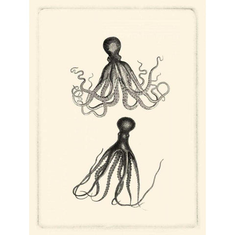 Sepia Octopus White Modern Wood Framed Art Print by Vision Studio