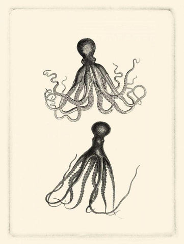 Sepia Octopus Black Ornate Wood Framed Art Print with Double Matting by Vision Studio