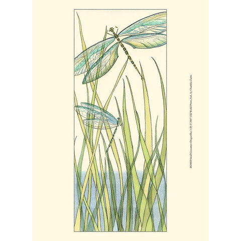 Small Gossamer Dragonflies I White Modern Wood Framed Art Print by Zarris, Chariklia