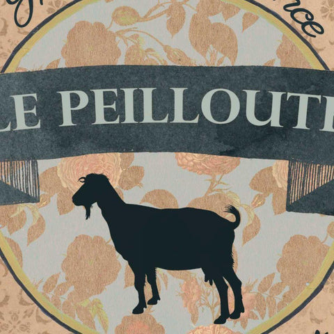 Shell Montage IV Black Modern Wood Framed Art Print by Vision Studio