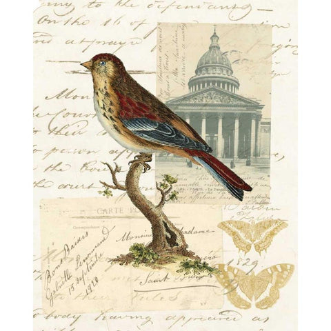 Naturalists Collage I Gold Ornate Wood Framed Art Print with Double Matting by Vision Studio