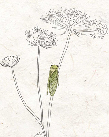 Summer Chorus I White Modern Wood Framed Art Print with Double Matting by Ludwig, Alicia