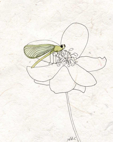 Summer Chorus II Black Ornate Wood Framed Art Print with Double Matting by Ludwig, Alicia