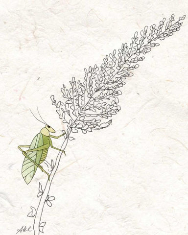 Summer Chorus III Black Ornate Wood Framed Art Print with Double Matting by Ludwig, Alicia