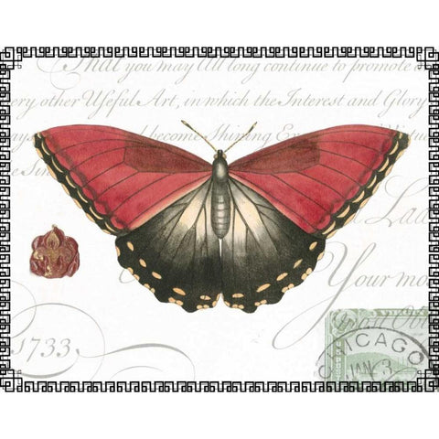 Butterfly Prose I Black Modern Wood Framed Art Print with Double Matting by Vision Studio