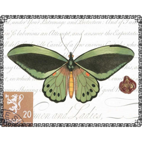 Butterfly Prose II Gold Ornate Wood Framed Art Print with Double Matting by Vision Studio