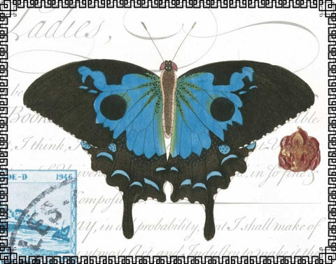 Butterfly Prose III White Modern Wood Framed Art Print with Double Matting by Vision Studio