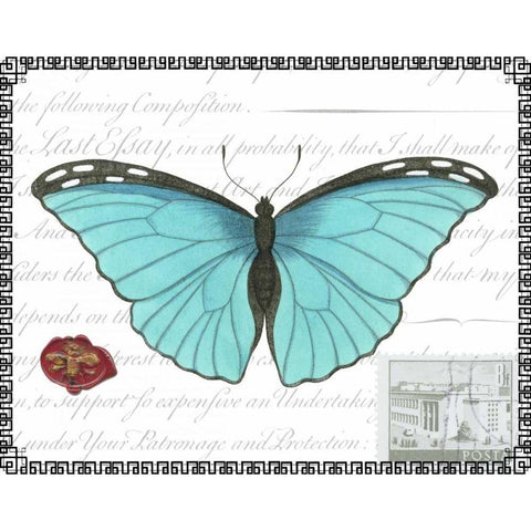 Butterfly Prose IV Black Modern Wood Framed Art Print with Double Matting by Vision Studio