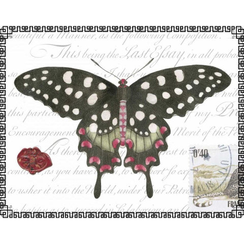 Butterfly Prose V Black Modern Wood Framed Art Print by Vision Studio