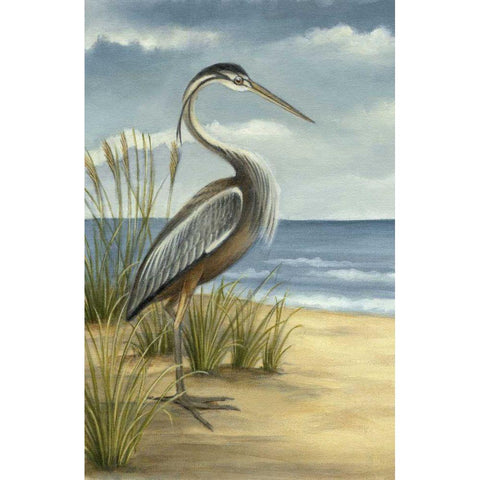 Shore Bird I Gold Ornate Wood Framed Art Print with Double Matting by Harper, Ethan