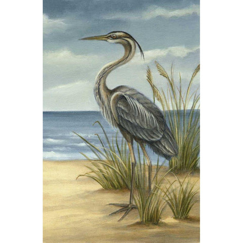 Shore Bird II Gold Ornate Wood Framed Art Print with Double Matting by Harper, Ethan