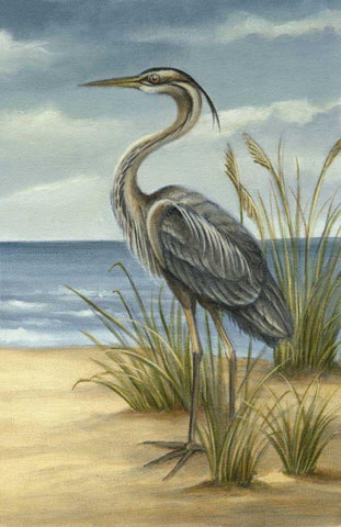 Shore Bird II Black Ornate Wood Framed Art Print with Double Matting by Harper, Ethan