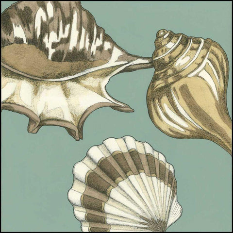 Small Shell Trio on Blue III Black Modern Wood Framed Art Print with Double Matting by Meagher, Megan