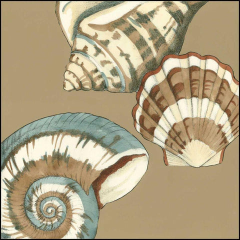 Small Shell Trio on Khaki II Gold Ornate Wood Framed Art Print with Double Matting by Meagher, Megan