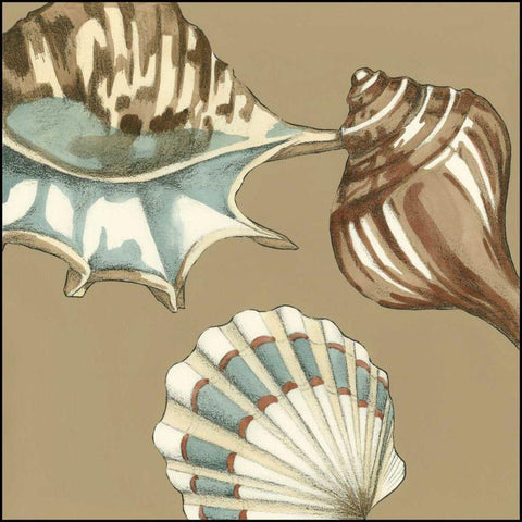 Small Shell Trio on Khaki III White Modern Wood Framed Art Print with Double Matting by Meagher, Megan