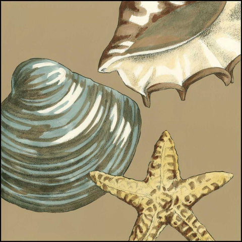 Small Shell Trio on Khaki IV Black Ornate Wood Framed Art Print with Double Matting by Meagher, Megan