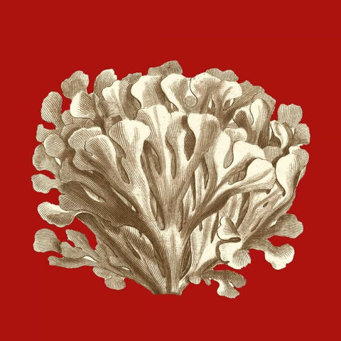 Small Coral on Red III Gold Ornate Wood Framed Art Print with Double Matting by Vision Studio