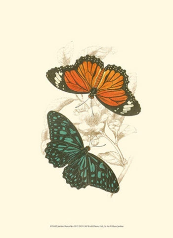 Jardine Butterflies II Black Ornate Wood Framed Art Print with Double Matting by Jardine, Sir William