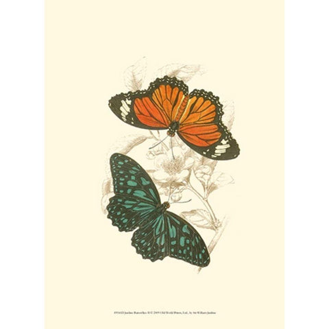 Jardine Butterflies II Gold Ornate Wood Framed Art Print with Double Matting by Jardine, Sir William