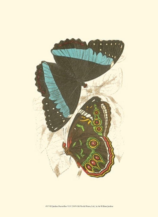Image Only