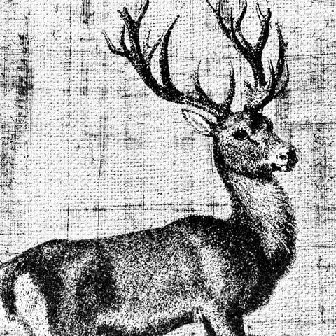 Northwest Territory I Gold Ornate Wood Framed Art Print with Double Matting by Vision Studio