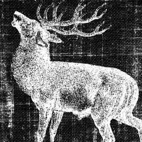 Northwest Territory II White Modern Wood Framed Art Print with Double Matting by Vision Studio