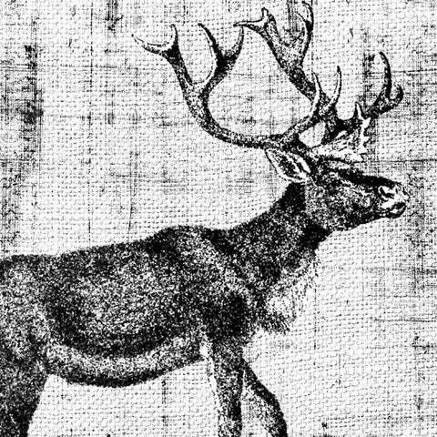 Northwest Territory III Black Modern Wood Framed Art Print by Vision Studio