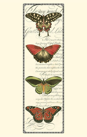 Small Butterfly Prose Panel I (P) Black Ornate Wood Framed Art Print with Double Matting by Vision Studio