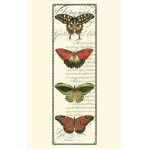 Small Butterfly Prose Panel I (P) Black Modern Wood Framed Art Print by Vision Studio