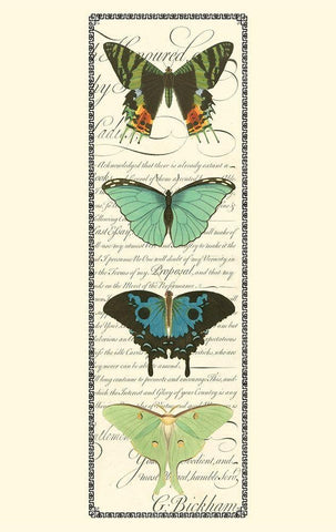 Small Butterfly Prose Panel II (P) Black Ornate Wood Framed Art Print with Double Matting by Vision Studio