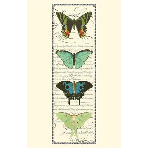 Small Butterfly Prose Panel II (P) Black Modern Wood Framed Art Print by Vision Studio