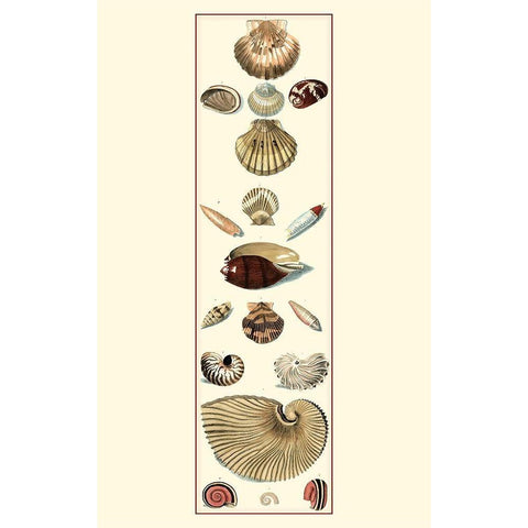 UA Sm Studies Sym I (P) White Modern Wood Framed Art Print by Vision Studio