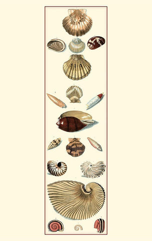 UA Sm Studies Sym I (P) Black Ornate Wood Framed Art Print with Double Matting by Vision Studio