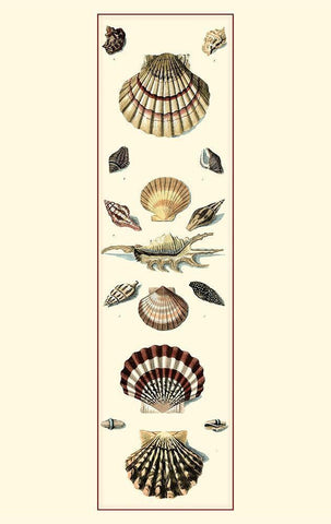 UA Sm Studies Sym II (P) White Modern Wood Framed Art Print with Double Matting by Vision Studio