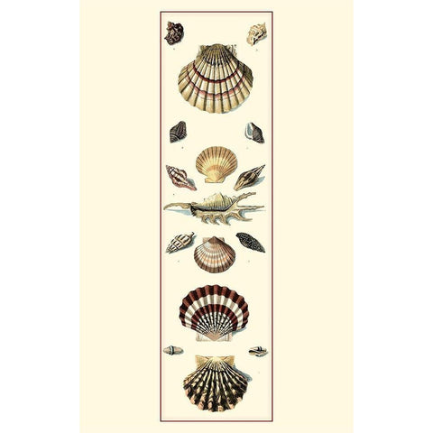 UA Sm Studies Sym II (P) Black Modern Wood Framed Art Print by Vision Studio