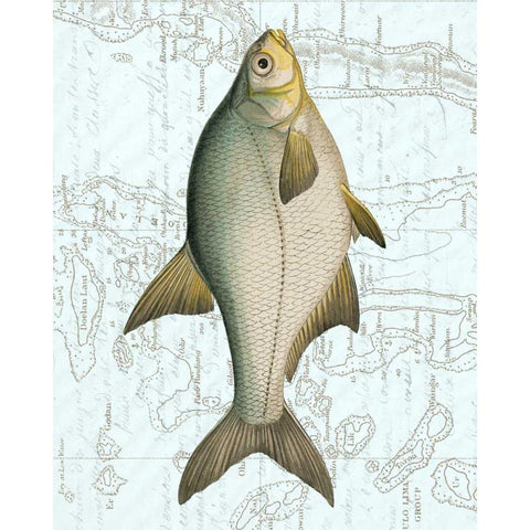 Freshwater I White Modern Wood Framed Art Print by Vision Studio