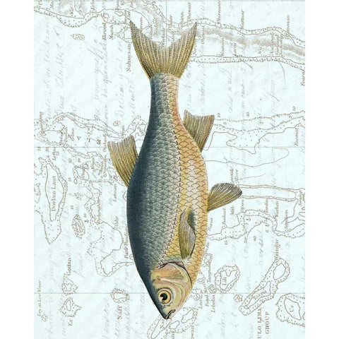 Freshwater II Gold Ornate Wood Framed Art Print with Double Matting by Vision Studio