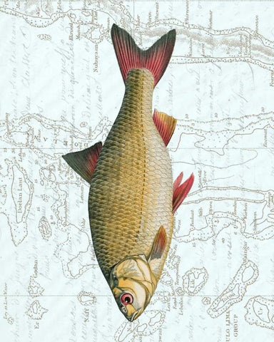 Freshwater IV Black Ornate Wood Framed Art Print with Double Matting by Vision Studio